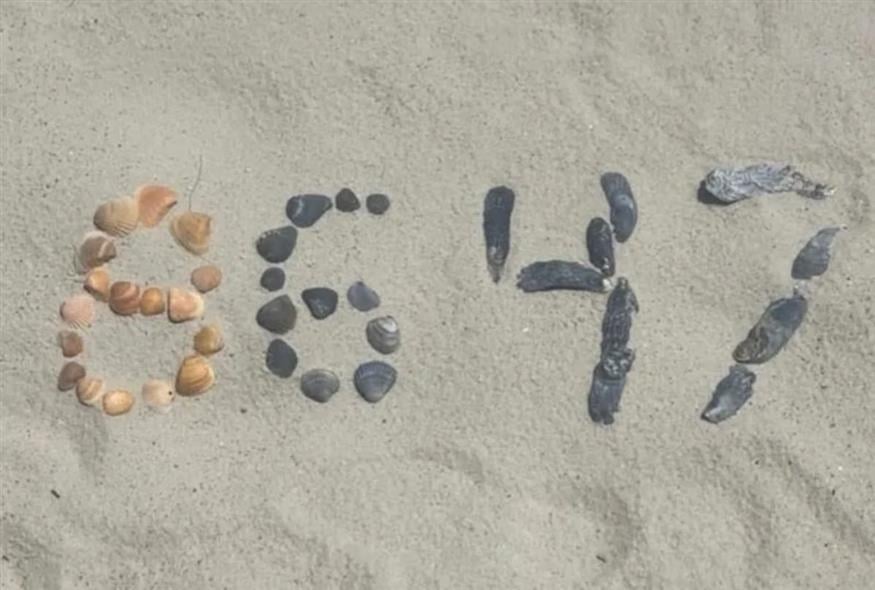 Φωτογραφία με κοχύλια