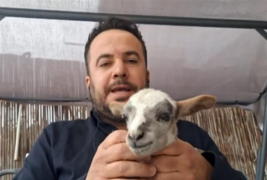 Η κραυγή ενός κτηνοτρόφου για τα μέτρα ευλογιάς (OPEN)