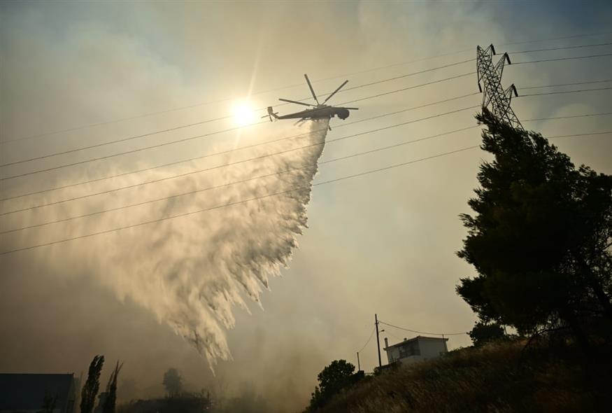 (ΚΩΣΤΑΣ ΤΖΟΥΜΑΣ/EUROKINISSI)