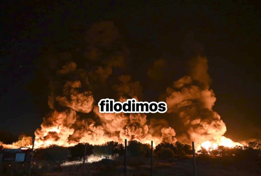 Φωτιά στο Αίγιο (filodimos.gr)
