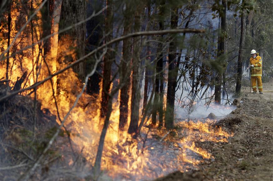 Φωτιές στην Αυστραλία/(AP Photo/Rick Rycroft, File)