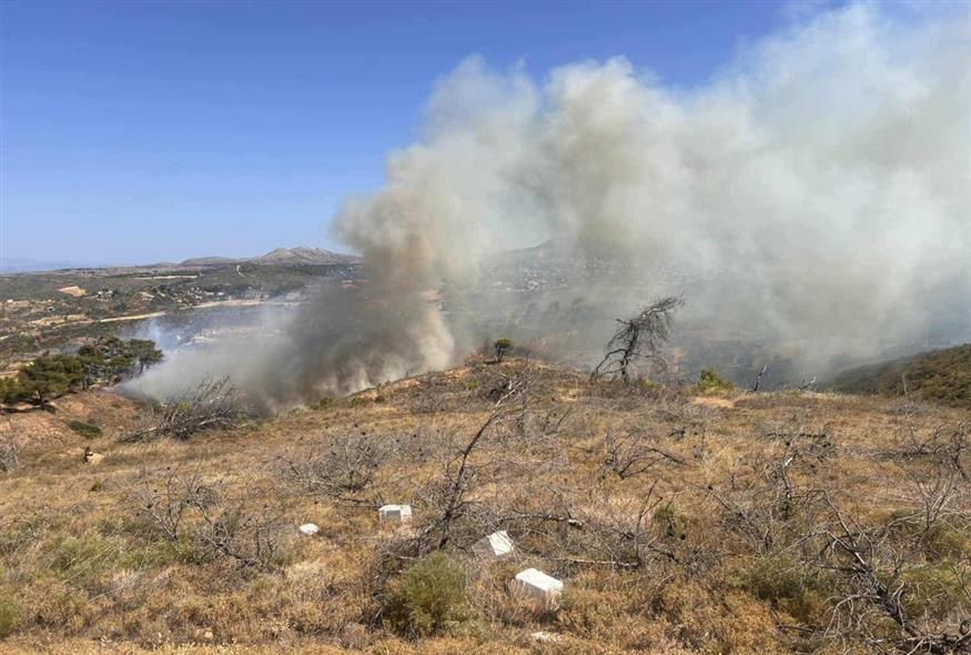 Φωτιές live blog - Ασημακόπουλος
