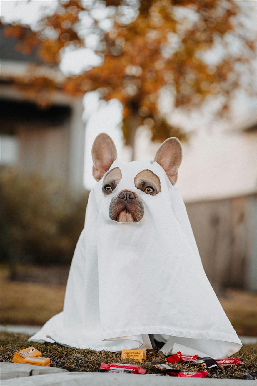 Ιδέες για στολές στο Halloween!