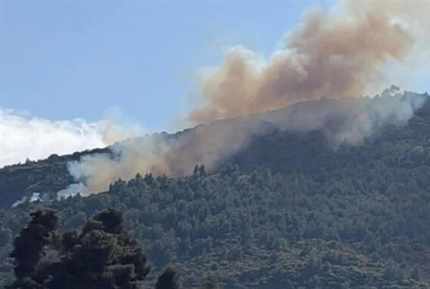 Φωτιά στην Αχαΐα (thebest.gr)