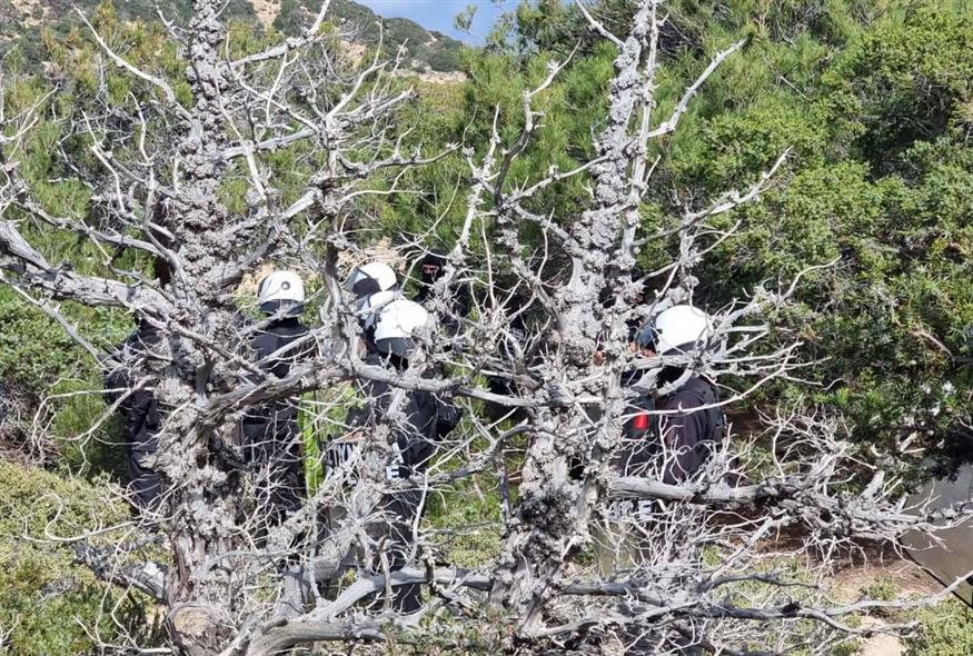 ΜΑΤ στη Γαύδο