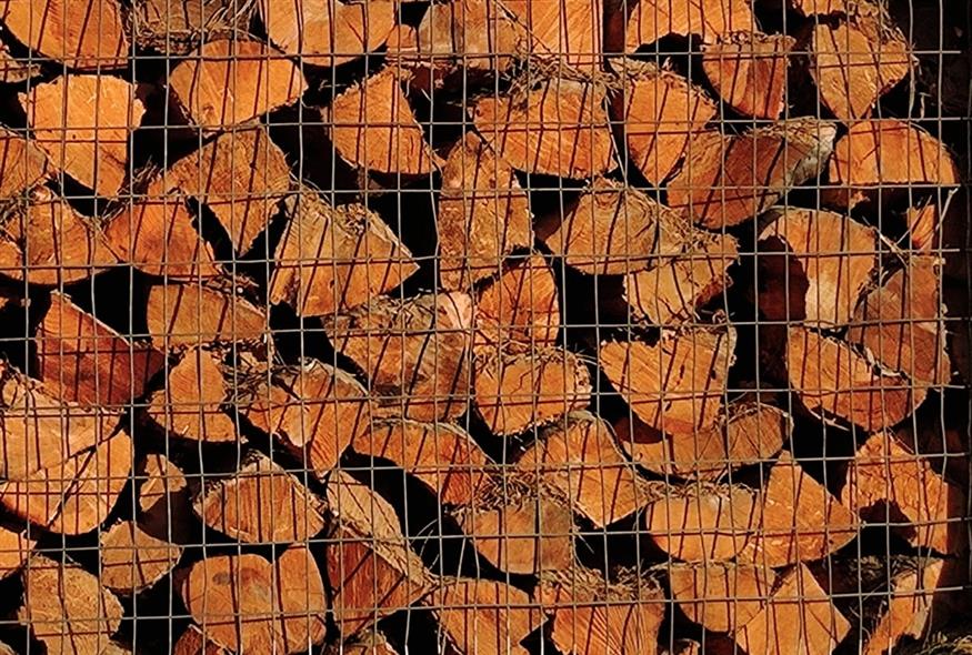 ΚΑΥΣΟΞΥΛΑ (ΓΙΩΡΓΟΣ ΚΟΝΤΑΡΙΝΗΣ/EUROKINISSI)