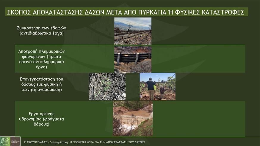 Φωτιές
