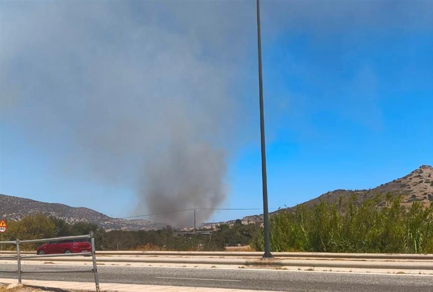 (Πηγή φωτο: Πυροπροστασια Δασων Λαυρεωτικης)