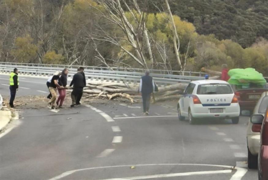 Τέμπη: Δέντρο έπεσε ξαφνικά στη μέση του δρόμου, στην παλιά Εθνική Οδό (grtimes.gr)