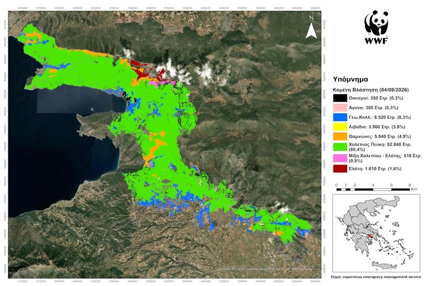 Καμένες εκτάσεις Καμένες εκτάσεις