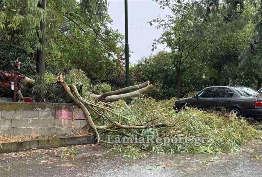 Κακοκαιρία στη Λαμία (lamiareport.gr)