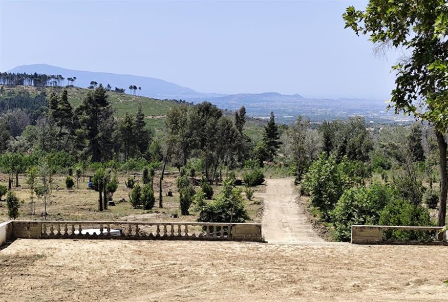 Κτήμα Τατόι (ΓΡΑΦΕΙΟ ΤΥΠΟΥ ΥΠΟΥΡΓΕΙΟΥ ΠΟΛΙΤΙΣΜΟΥ/EUROKINISSI) Κτήμα Τατόι (ΓΡΑΦΕΙΟ ΤΥΠΟΥ ΥΠΟΥΡΓΕΙΟΥ ΠΟΛΙΤΙΣΜΟΥ/EUROKINISSI)