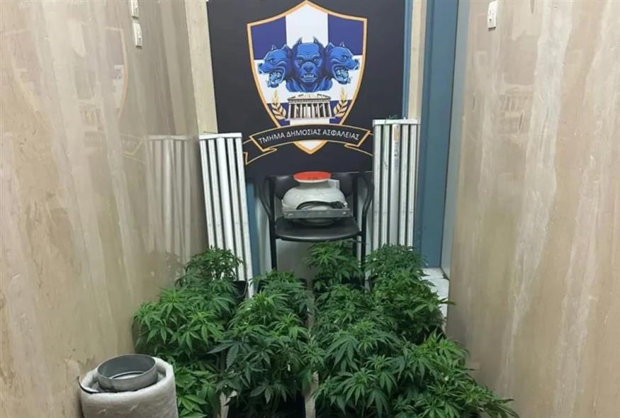 Εξαρθρώθηκε εγκληματική οργάνωση που εξαπατούσε πολίτες