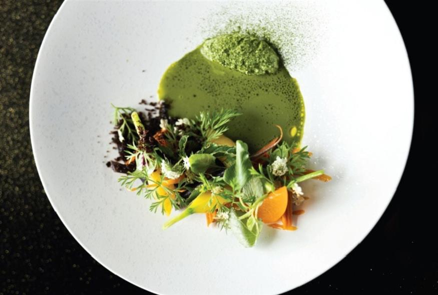 Κοινό νήμα των δημιουργιών, η σύνδεση με τη φύση