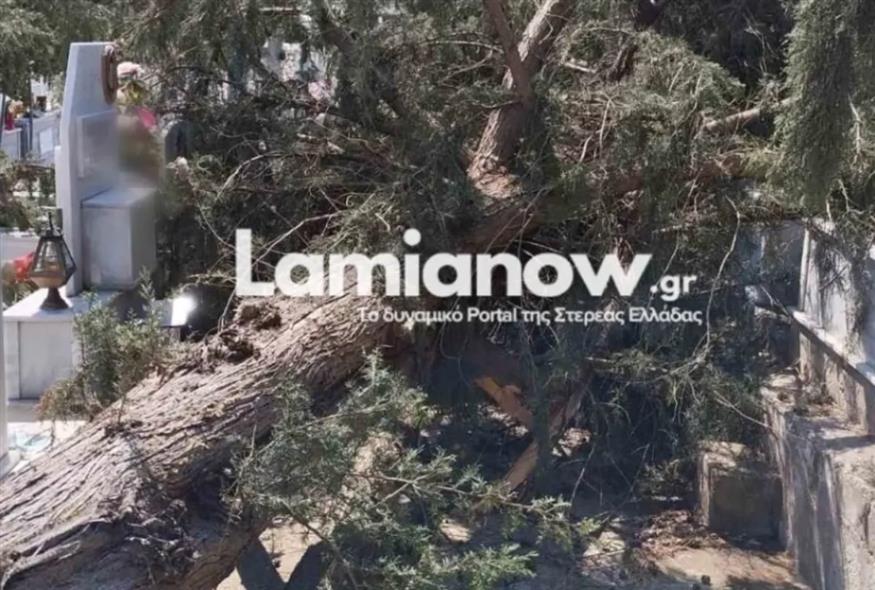 Κακοκαιρία/lamianow.gr