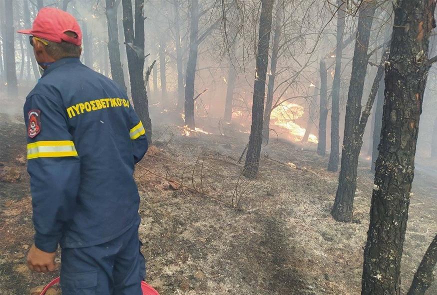 (φωτογραφία: Κώστας Ασημακόπουλος)