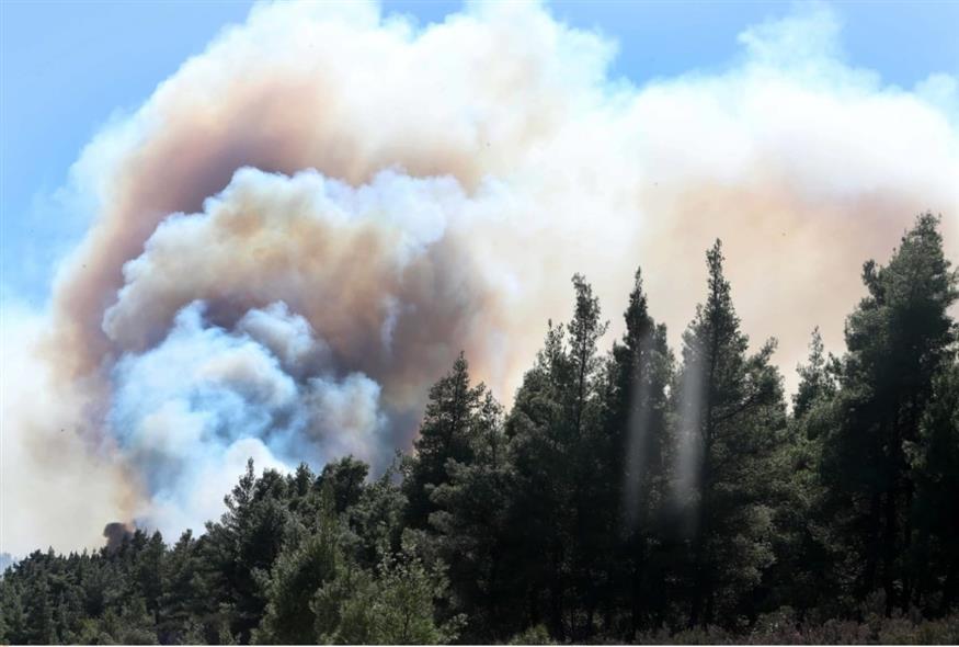 Απαγόρευση κυκλοφορίας σε δάση της Χαλκιδικής λόγω του αυξημένου κινδύνου πυρκαγιάς (EUROKINISSI)
