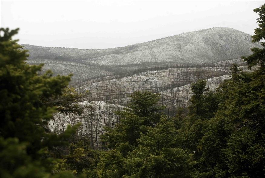 Πάρνηθα ( EUROKINISSI / ΧΑΣΙΑΛΗΣ ΒΑΟΣ )