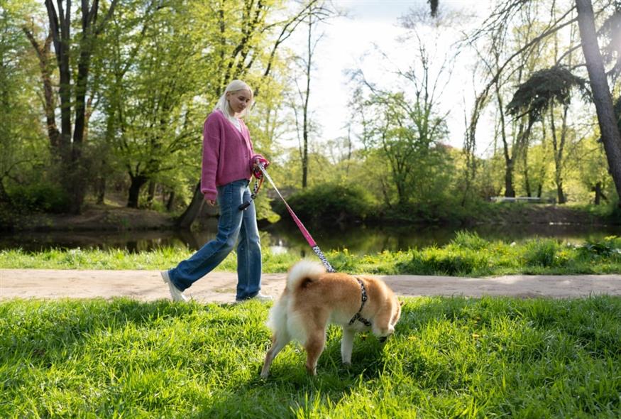 Βόλτα με τον σκύλο (Freepik)
