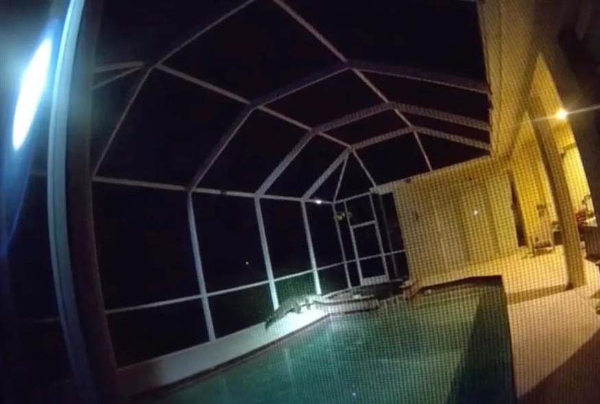 Φλόριντα: Η επιχείρηση απομάκρυνσης του αλιγάτορα από την πισίνα (screenshot)