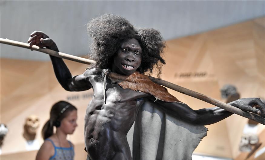 Ομοίωμα Νεάντερταλ σε μουσείο/Copyright: AP Images