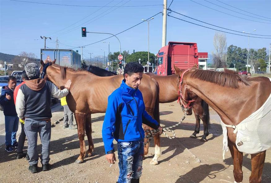 Διαμαρτυρία με άλογα για το κλείσιμο του Ιπποδρόμου