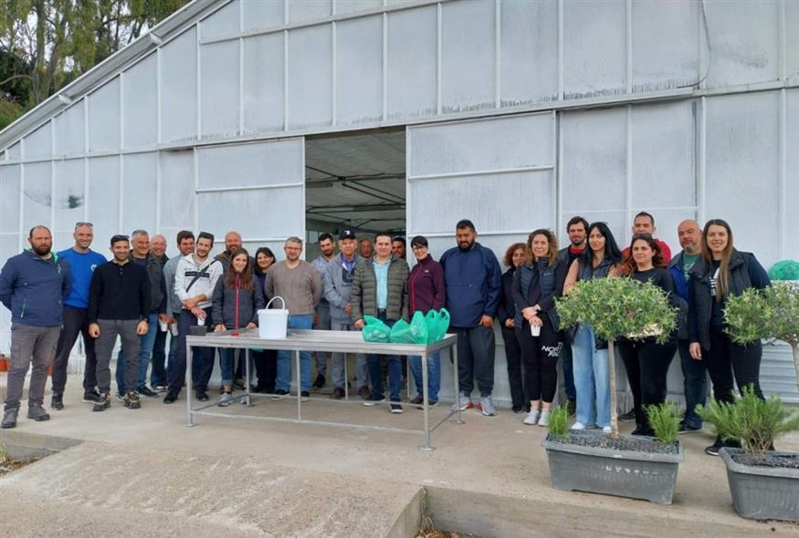 Μαστιχοχώρια Χίου