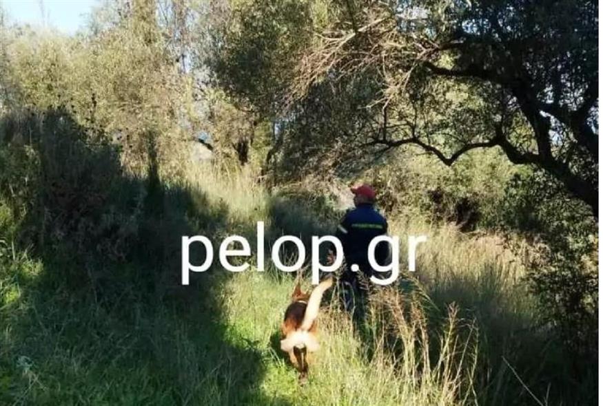 Αχαία: Εντοπίστηκε 88χρονη που αγνοούνταν για δύο ημέρες - Την βρήκε σκύλος της ΕΜΑΚ/ Pelop.gr