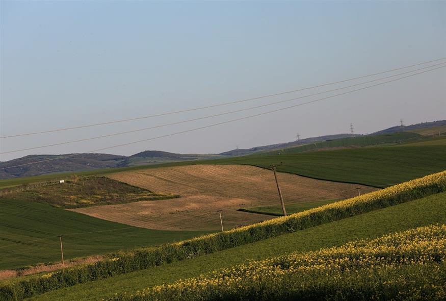 Χωράφια (EUROKINISSI)