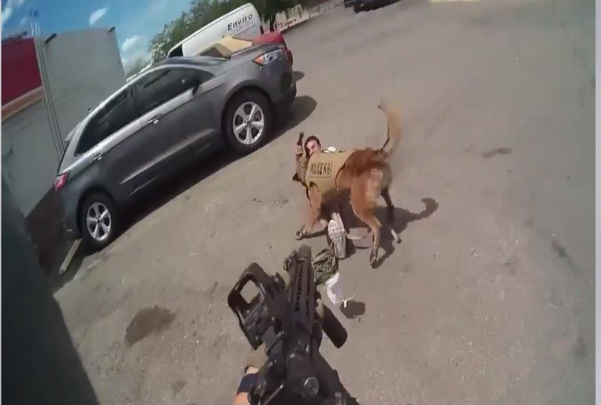 ΗΠΑ: Αστυνομικοί γάζωσαν καταζητούμενο που σημάδεψε αστυνομικό σκύλο/capture