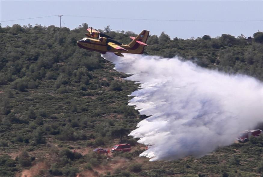 Φωτο αρχείου: ΔΑΝΑΗ ΔΑΥΛΟΠΟΥΛΟΥ/EUROKINISSI