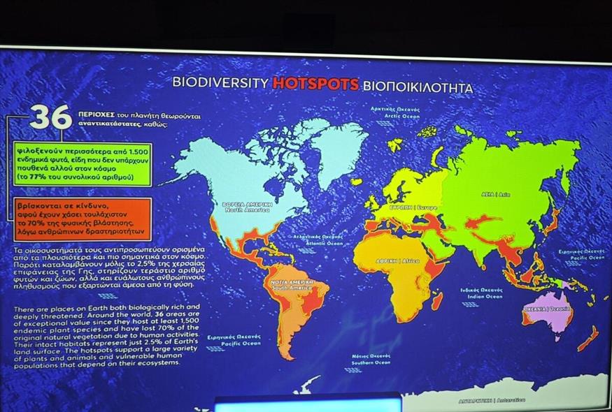 Το Εθνικό Μουσείο Φυσικής Ιστορίας Γουλανδρή αξίζει να το επισκεφθούν όλοι οι Έλληνες - φωτογραφία Κώστας Ασημακόπουλος