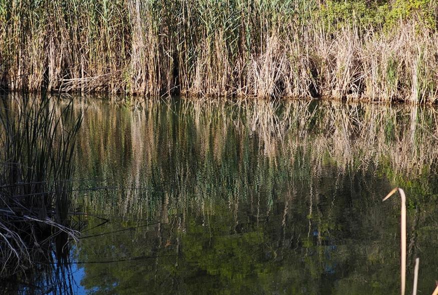 Ενα διαμάντι στη μέση του... πουθενά είναι η λίμνη Μαυροσουβάλας / φωτογραφία Κώστας Ασημακόπουλος ethnos.gr