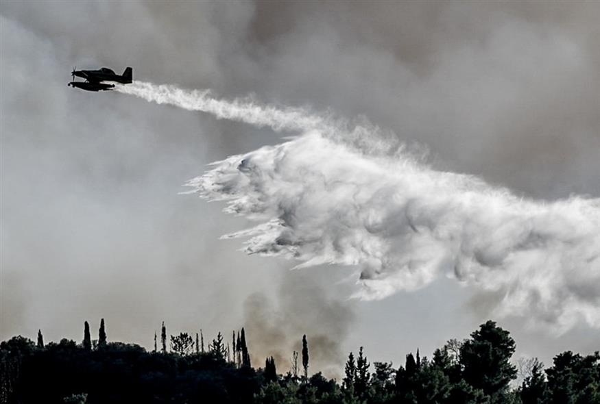 Φωτιά (ΓΙΑΝΝΗΣ ΣΠΥΡΟΥΝΗΣ/ILIALIVE.GR/EUROKINISSI)