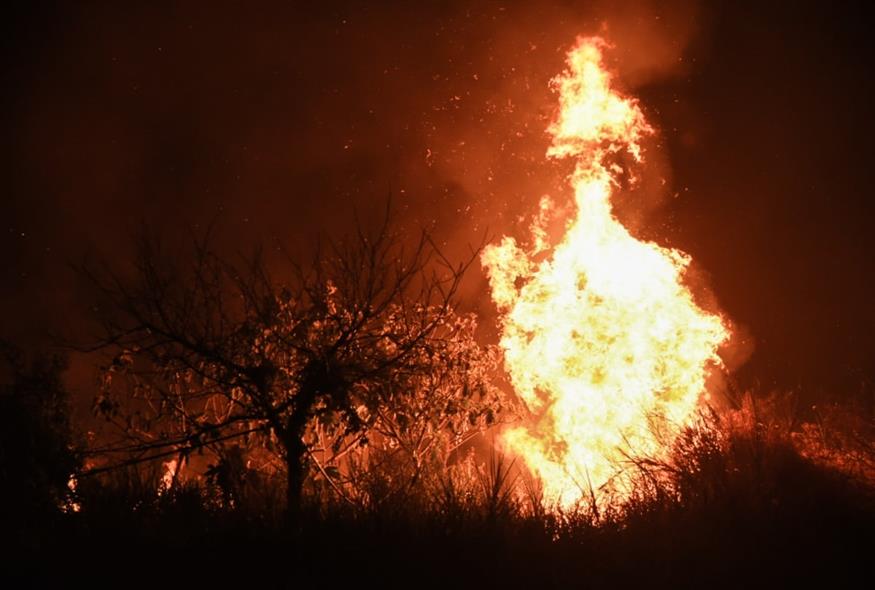 Φωτιά στην Αχαΐα (EUROKINISSI)