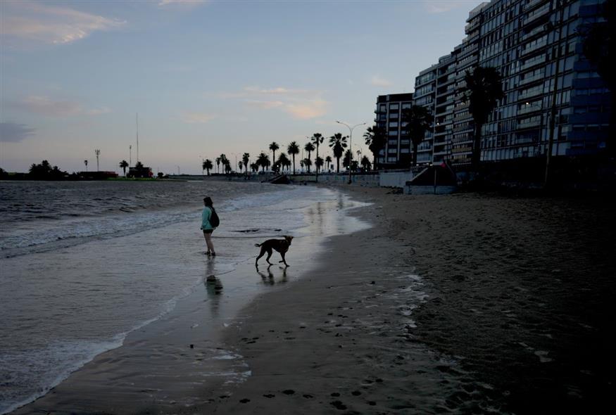 Σκύλος σε παραλία/AP Photos
