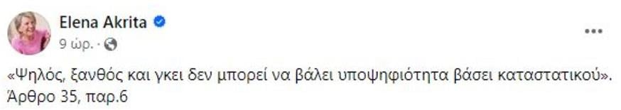 Ανάρτηση της Έλενας Ακρίτα για τις εκλογές στον ΣΥΡΙΖΑ