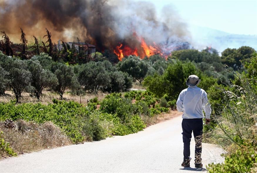 (ΘΑΝΑΣΗΣ ΔΗΜΟΠΟΥΛΟΣ/EUROKINISSI)