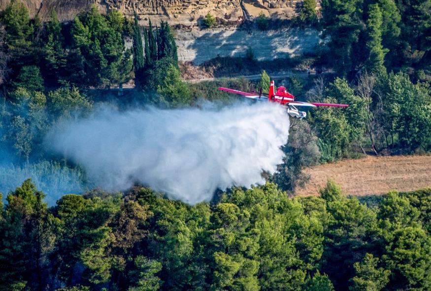 (ΓΙΑΝΝΗΣ ΣΠΥΡΟΥΝΗΣ / ILIALIVE.GR/EUROKINISSI)