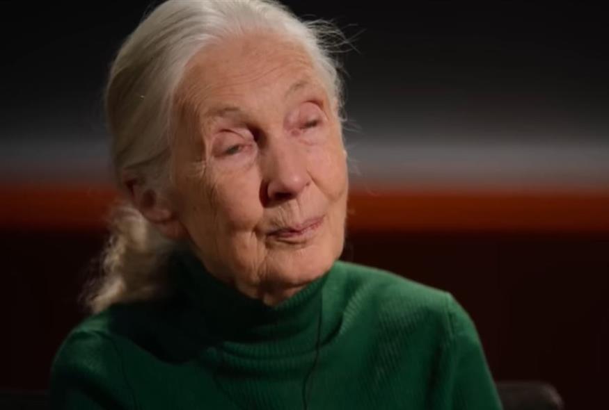 Η Τζέιν Γκούντολ (Netflix)