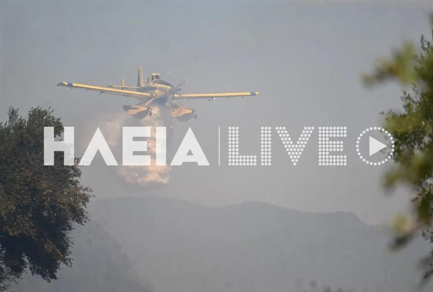 Ηλεία, πυρκαγιά στη Βάρδα (ilialive.gr)