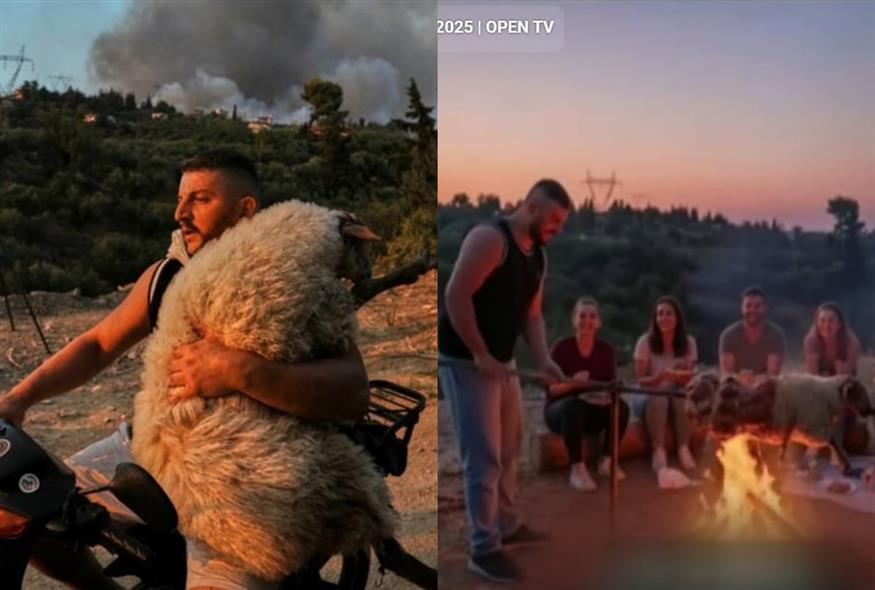 ΑΙ βίντεο με την προβατίνα Μέλπω στη σούβλα (GLOMEX)