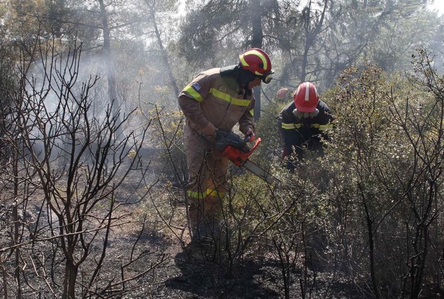 Πυροσβέστες (Φωτογραφία αρχείου/EUROKINISSI)