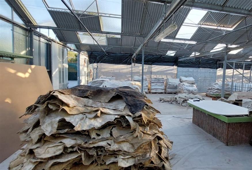 (ΓΡΑΦΕΙΟ ΤΥΠΟΥ ΕΛΛΗΝΙΚΗΣ ΑΣΤΥΝΟΜΙΑΣ/EUROKINISSI)