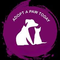 Adopt a Paw Today