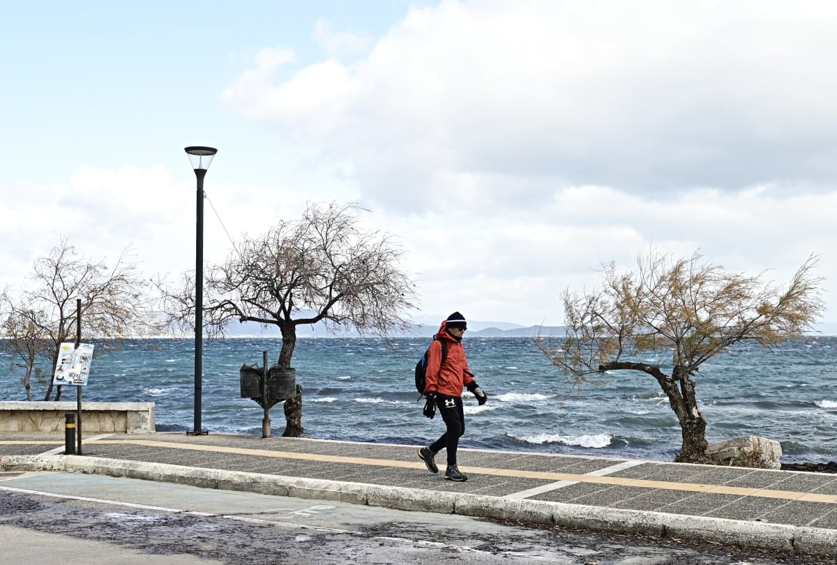 «Χειμωνιάτικο» Σαββατοκύριακο με καταιγίδες, μποφόρ και πτώση της θερμοκρασίας - Προβλήματα σε Θεσσαλία, Ήπειρο και Εύβοια λόγω ανέμων