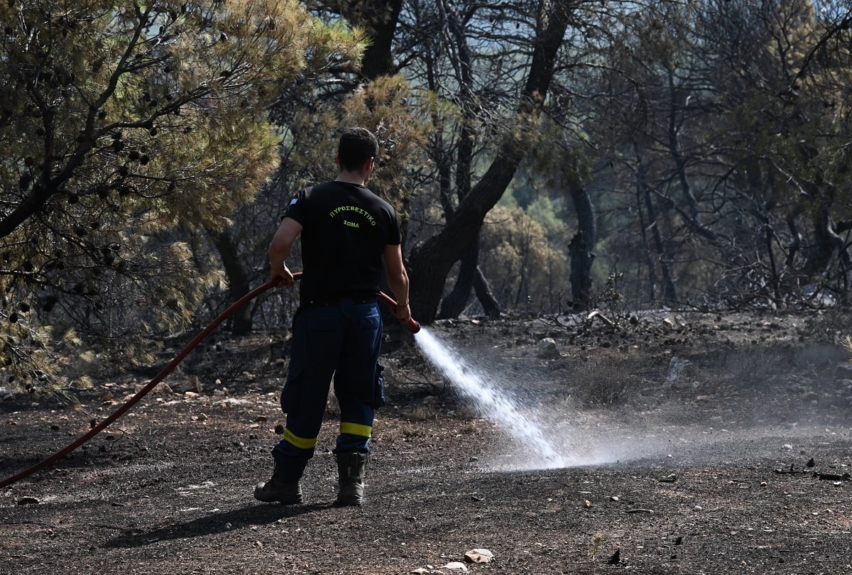 Φωτιά στο Μαρκόπουλο: Επιχειρούν αεροσκάφη, ελικόπτερα και ισχυρές επίγειες δυνάμεις – Εκτροπές κυκλοφορίας