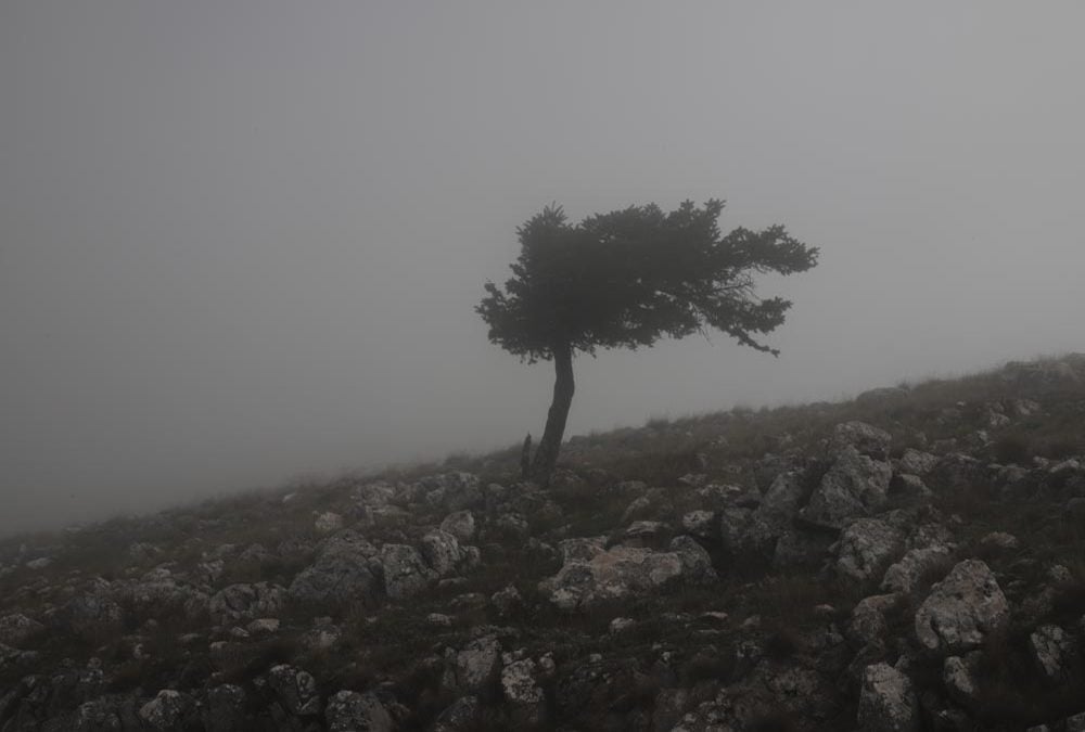 Κιθαιρώνας