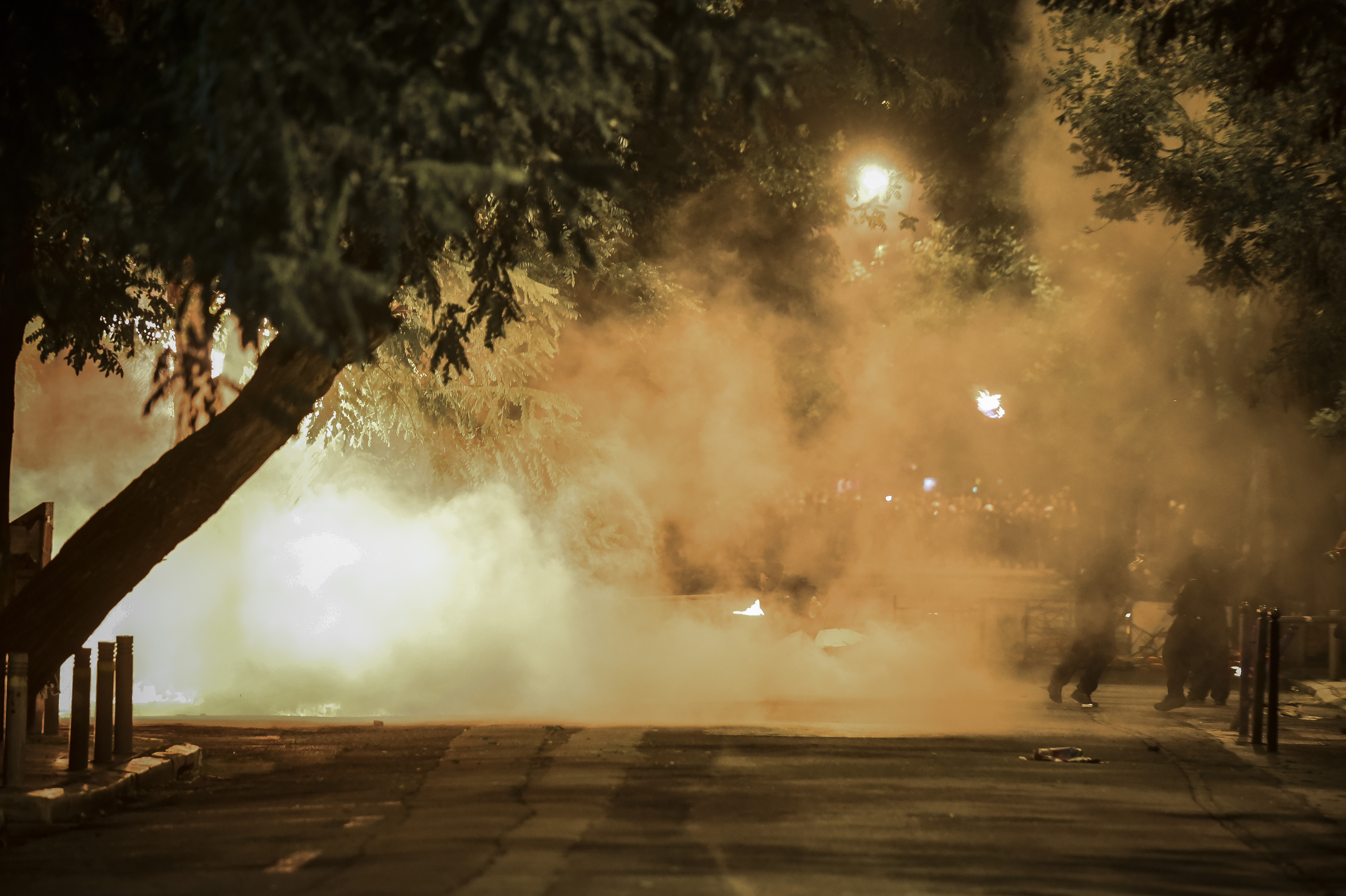 4624696.jpg 4624696.jpg