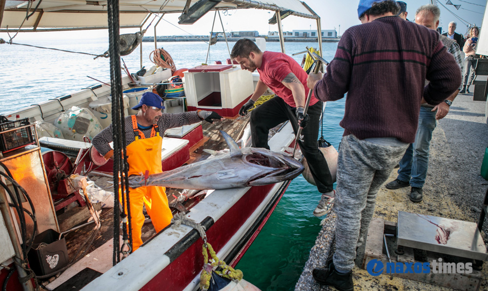 tonoi-fish-naxos-6.jpg